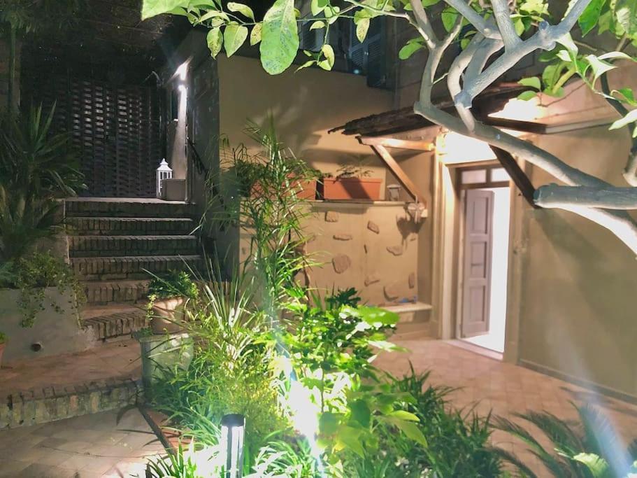 Isola Roger - Appartamento Con Giardino A Roma Exterior foto