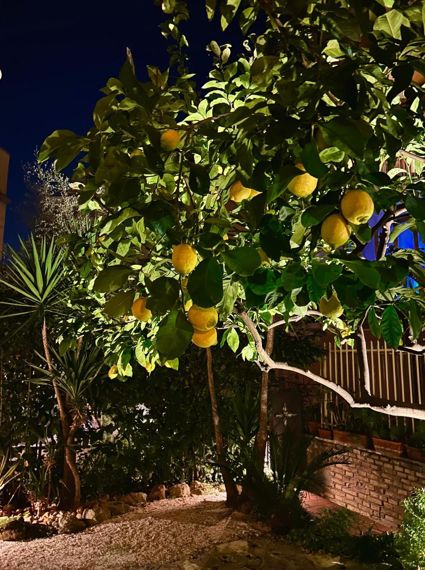 Isola Roger - Appartamento Con Giardino A Roma Exterior foto