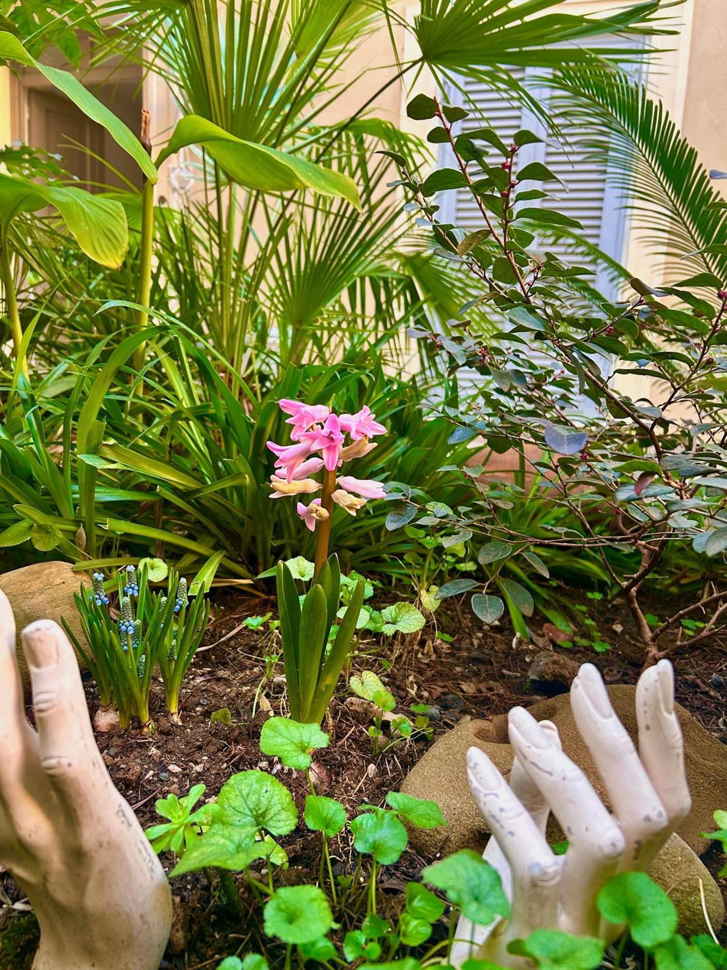 Isola Roger - Appartamento Con Giardino A Roma Exterior foto